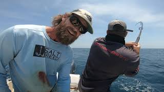 OFFSHORE FISHING WITH LIVE MULLET out of Sebastian inlet [upl. by Oakman408]