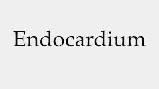 How to Pronounce Endocardium [upl. by Knox]