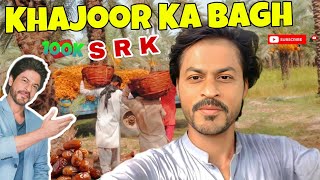 SRK Duplicate Vlog on YouTube😱 Shahrukh khan Mera khajoor k bagh p vlog🙈 vlogactor subscribe srk [upl. by Aronos]