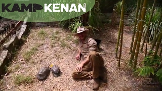 Ultimate Marginated Tortoise Care Tutorial kamp kenan [upl. by Nytram]