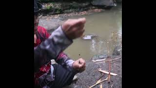 Nekat mancing saat hujan Strike ganas hujan datang spot paritan ikannya ganas mancing [upl. by Suissac616]