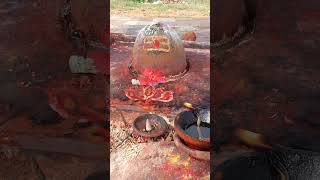 Most powerful shivalingam [upl. by Noonan48]