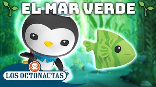 Los Octonautas  El mar verde  Recopilación  Episodios Completos [upl. by Jamal]