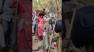 Girnar parikrama Yatra 2024 [upl. by Crane411]