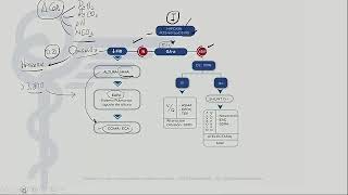 Neumología  Mapas Mentales Neumología [upl. by Ylla]