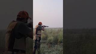 Double Shot On wild Quail quailhunting shotgunking birdhunting hunting [upl. by Dallman730]