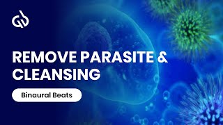 Healing Frequency Music Parasite Frequency Cleanse Digestion Frequency [upl. by Acirederf388]