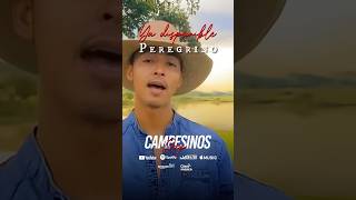 Disponible  Peregrino llanoytrap parati campesinosrap peregrinotrqp venezuelafreestyle [upl. by Ratcliff]