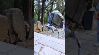 Use of robots to collect garbage shorts [upl. by Karia]