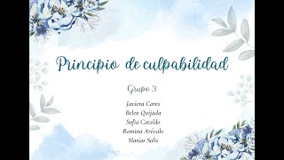 Principio de Culpabilidad curso de Principios fundamentales del Derecho penal [upl. by Wira941]