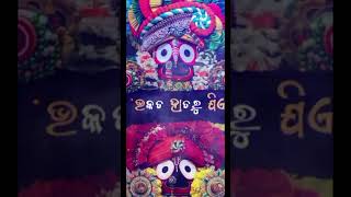 Jagannath ⭕️❗️⭕️🙏🏻  shreejagannathdarshan jagannath puri kalia purijagannathtemple youtube [upl. by Nevak]