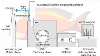 Strategies for GCMS Method Development [upl. by Seyah]