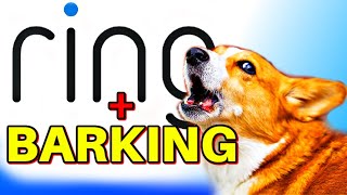 Ring Doorbell with dogs barking [upl. by Koralie]