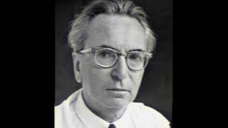 El Hombre en Busca de Sentido  La Vida y Enseñanzas de Viktor Frankl [upl. by Zsazsa364]