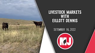 Livestock Markets  Elliott Dennis  September 16 2022 [upl. by Attalie200]