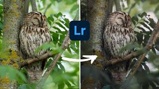 Comment donner vie à votre sujet  Tuto Lightroom PAS à PAS [upl. by Ikairik]