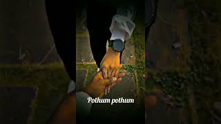 pothum pothum🤗 lyricswhatsappstatus love blacksreenlyrics lovesong [upl. by Emile251]