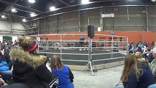 Jeff Michael Rides A Clydesdale BAREBACK [upl. by Eyt]