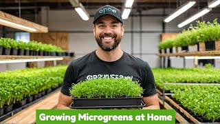 Growing Microgreens at Home Easy Water Method [upl. by Noirred]