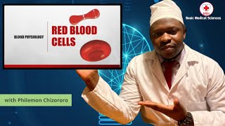 Red Blood Cells Erythrocytes [upl. by Repip]