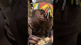 Hadzabe Tribe Tanzania Lifestyle africa hadzabetribe africantribe hadzabe culturalfood food [upl. by Yolanda484]