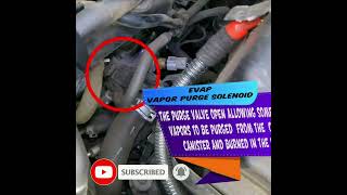 ⫷ Hyundai Elantra PCV Oxygen Sensors and Other Smog Part Locations and Info ⫸ [upl. by Gylys]