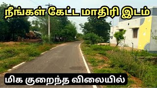 ரோடு போஸில் குறைந்த விலையில் இடம் ✨ landforsale lowbudget tamil  Land for sale in Erode [upl. by Okomot220]