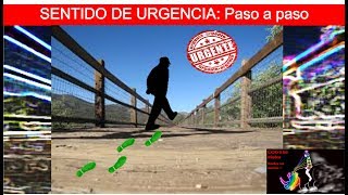 SENTIDO DE URGENCIA Paso a paso [upl. by Sadoff]