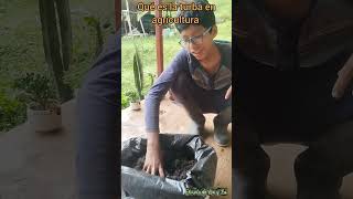 Turba en agricultura elauladeleoylu shorts homeschooling agricultura [upl. by Otes]