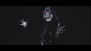 Impavidus  Artifice Official Video [upl. by Maggy]