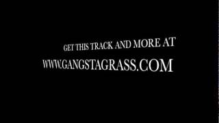 Gangstagrass  Long Hard Times To Come feat TONEz Justified Theme Song [upl. by Annadiane]