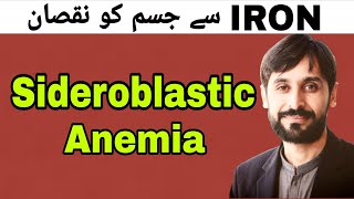 Sideroblastic Anemia  MLT Hub with kamran [upl. by Ok179]