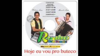 HOJE EU VOU PRO BUTECO  REMELEXO BOM DEMAIS VOL8 [upl. by Kaufmann684]