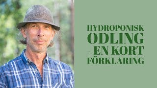 Hydroponisk odling en kort förklaring [upl. by Dorena]