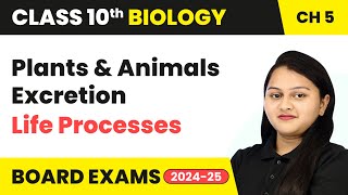 Plants and Animals Excretion  Life Processes  Class 10 Biology Chapter 5  CBSE 202425 [upl. by Ali]