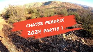 chasse perdrix 2024 partie 1 صيد الحجل [upl. by Boiney598]