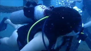 12 febrero 2018 buceo en baru y bajos de salmedina con buzos de baru cartagena colombia [upl. by Aicenra]