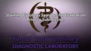 Staining Cytology Samples for Evaluation Prior to Submission [upl. by Siegel]