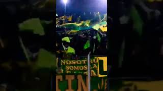 LA HINCHADA DE ALDOSIVI 🟢🟡🟢 [upl. by Ume163]