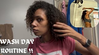 The Ultimate Curly Hair Routine STEP BY STEP [upl. by Nyleahcim460]