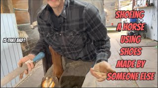 Shoeing a Horse With Shoes Made by Someone Else at a Contest [upl. by Cy]