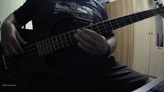 Hooverphonic quotMad About Youquot Bass Cover [upl. by Erroll408]