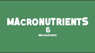 Macronutrients and Micronutrients [upl. by Anitak144]