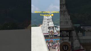 Manam eppudu veldam mama tirumalaki ❤️ tirumala travel tirupati balajidarshanshorts ytshort [upl. by Eicyaj]