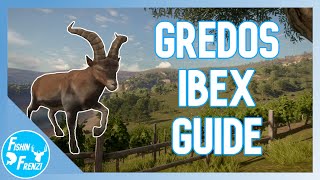 Gredos Ibex Guide  theHunter  Call of the Wild [upl. by Hellene608]