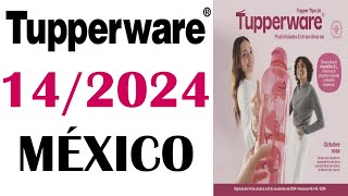 CATALOGO TUPPERWARE TUPPER TIPS 14  2024 MÉXICO [upl. by Zetrac]