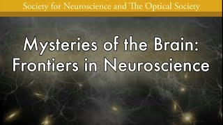 Mysteries of the Brain Frontiers in Neuroscience [upl. by Aihsekal]