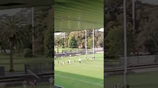 SPORTS RUGBY LEAGUE FROM REDFERN PARK iN SYDNEY NSW AUSTRALIA [upl. by Rawley]