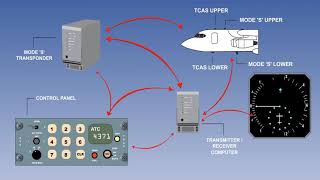 Traffic Alert And Collision avoidance System  TCAS Of Aircraft  Aircraft TCAS System  Lecture 5 [upl. by Farra]