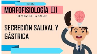 TEMA SECRECIÓN SALIVAL Y GÁSTRICA [upl. by Anuahsar]